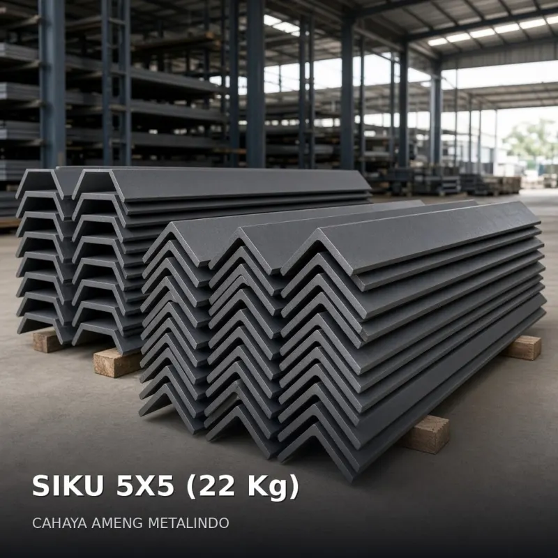 [SIKU] SIKU 5X5 (22 Kg)
